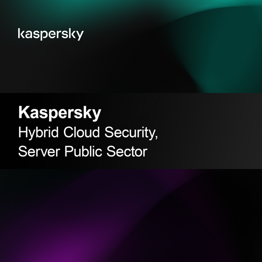 Kaspersky Hybrid Cloud Security, Server Publieke Sector